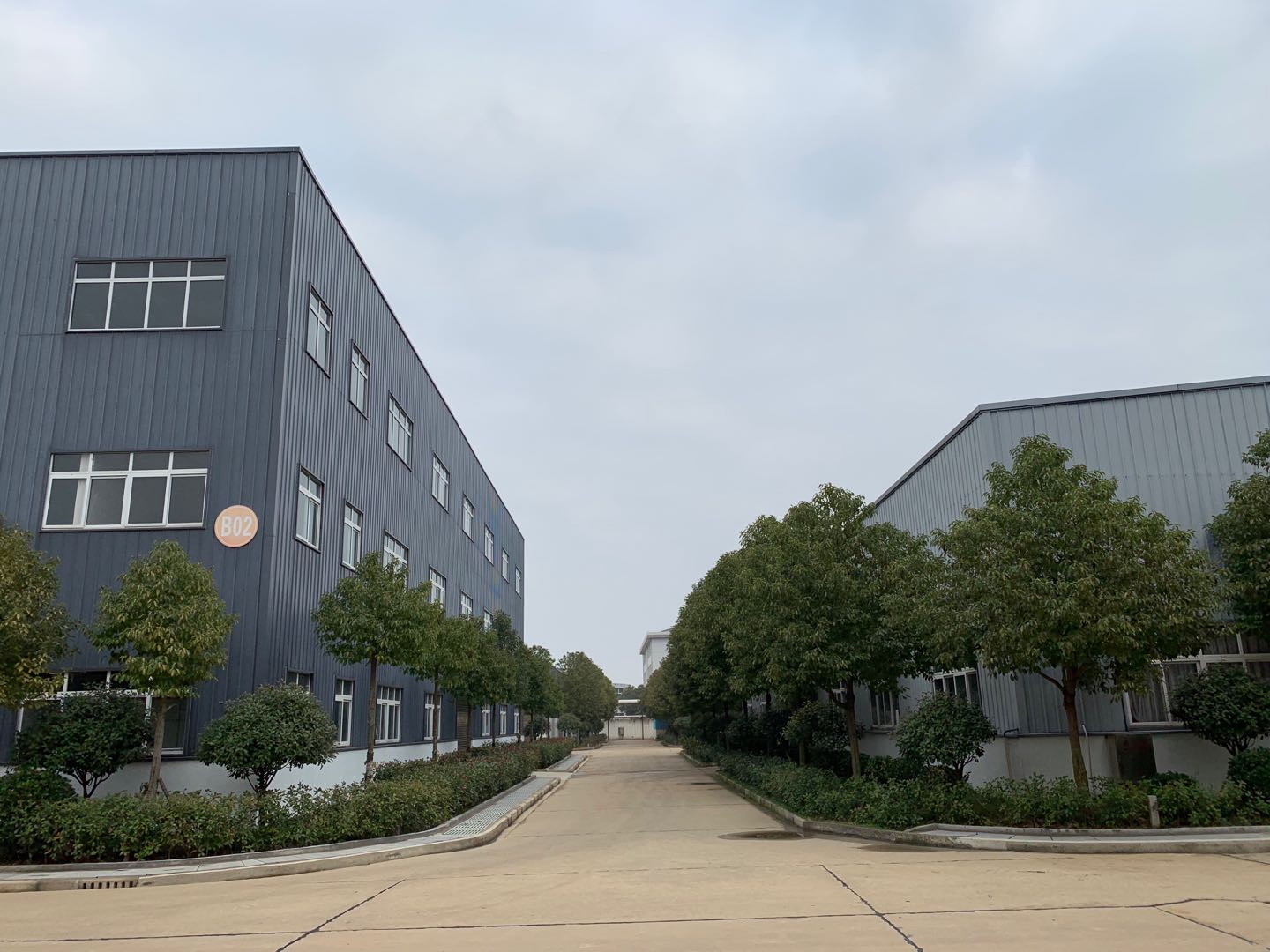 ��׼����